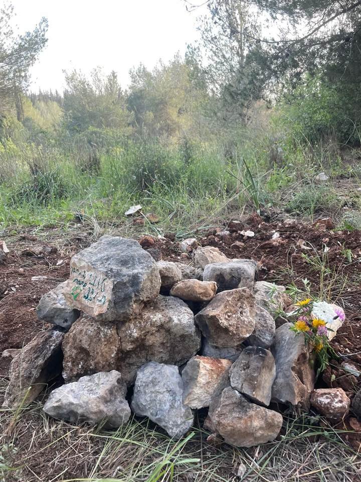 גלעד אבנים על קבר טרי של חיית מחמד בחורש, עם פרחים שהונחו לצידו